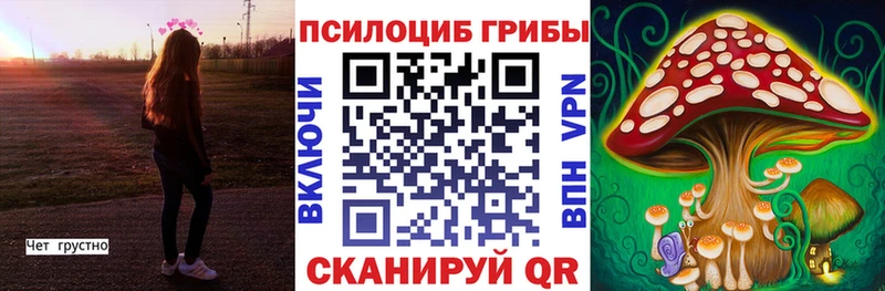 Купить где  Красавино  Псилоцибиновые грибы Magic Shrooms 
